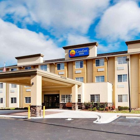 Comfort Inn Mount Airy Exteriér fotografie